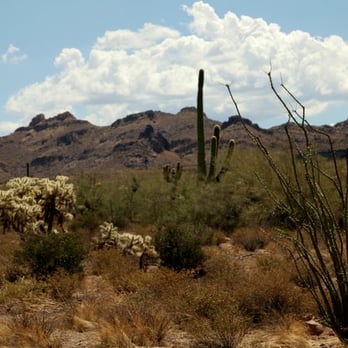 Lost Dutchman State Park - View looking east from the Treasure Loop Trail. - Parks Near Me - Apache Junction, Arizona Lost Dutchman State Park - View looking east from the Treasure Loop Trail. - Parks Near Me - Apache Junction, Arizona