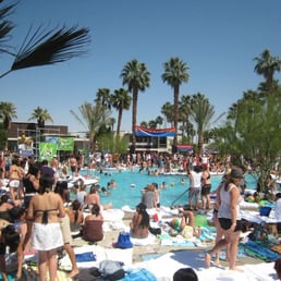 Pool Party