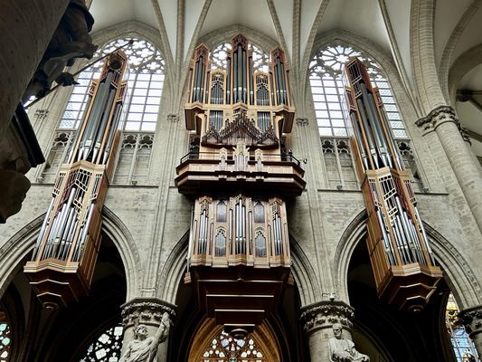 St. Michael & St. Gudula Cathedral by null