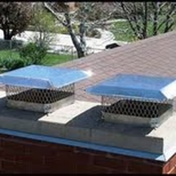 Critter Control - Pest Control Near Me