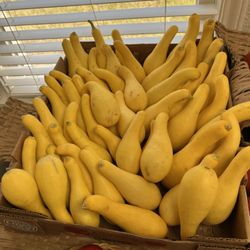 Sabra Farm - Local beauties