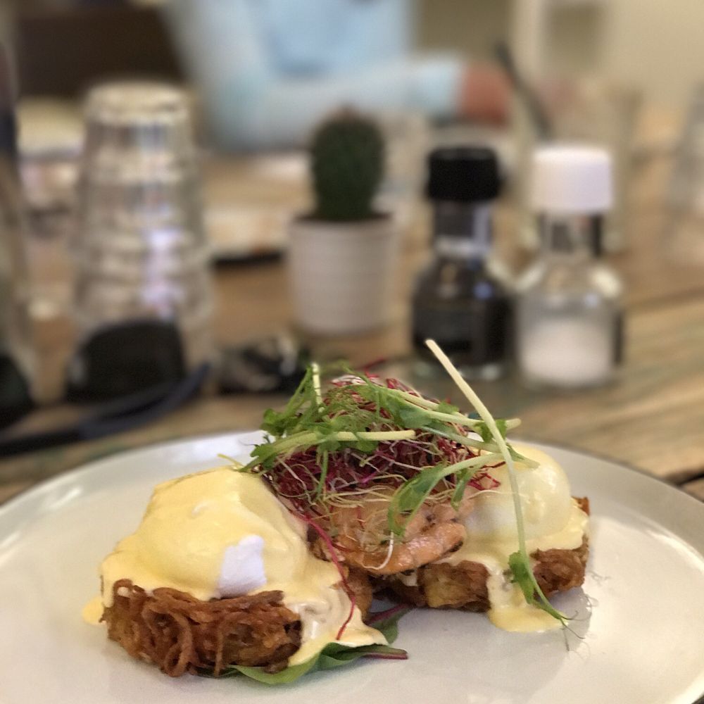 Dignita - Breakfast & Brunch Near Me - Amsterdam, New Hampshire Dignita - Breakfast & Brunch Near Me - Amsterdam, New Hampshire