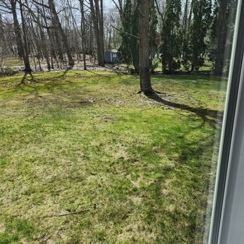 Nick Nemecek - After Spring Clean Up - Painters Near Me Nick Nemecek - After Spring Clean Up - Painters Near Me