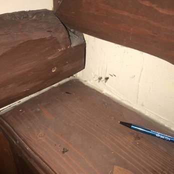 Big Bear Cool Cabins - Extremely dirty. Bugs everywhere. - Property Management Near Me - Big Bear Lake, California
