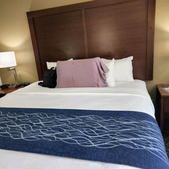 Comfort Inn Near Kokomo Speedway - King bed - Hotels Near Me - Kokomo, Indiana Comfort Inn Near Kokomo Speedway - King bed - Hotels Near Me - Kokomo, Indiana