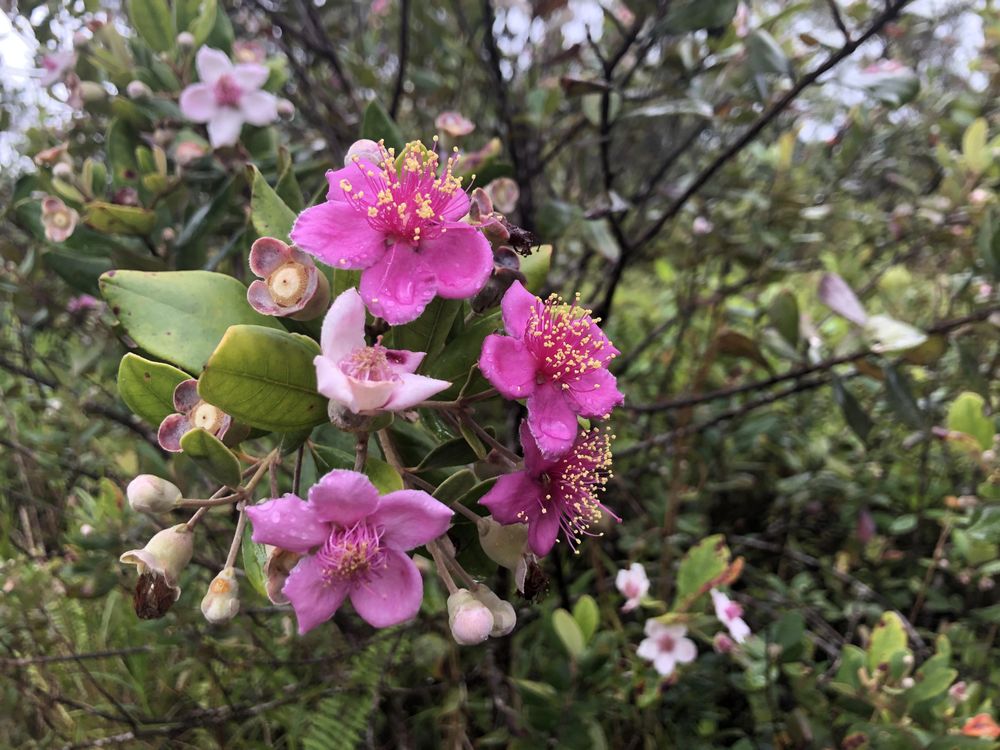 Aqui Counseling - grief counselor in Burlington, VT