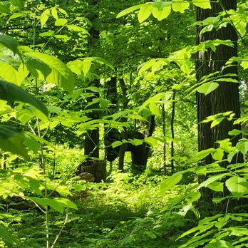 Bronte Creek Provincial Park - Parks Near Me - Oakville, Ontario