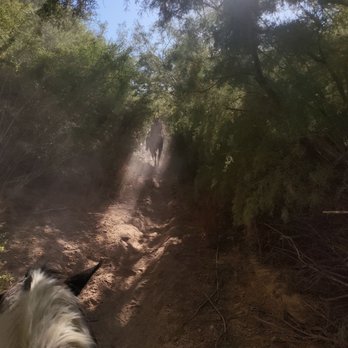 Wild West Horseback Adventures - Looks ruff, but it was smooth. - Horseback Riding Near Me - Las Vegas, Nevada Wild West Horseback Adventures - Looks ruff, but it was smooth. - Horseback Riding Near Me - Las Vegas, Nevada