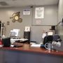 Photo of Pure Platinum Automotive