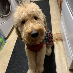 Mylo Mylo