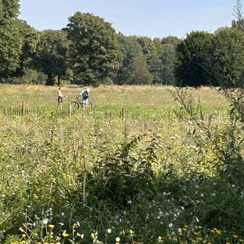 Englischer Garten - Parks Near Me - Munich, BY