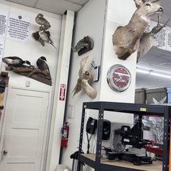 Shafers Ace Hardware