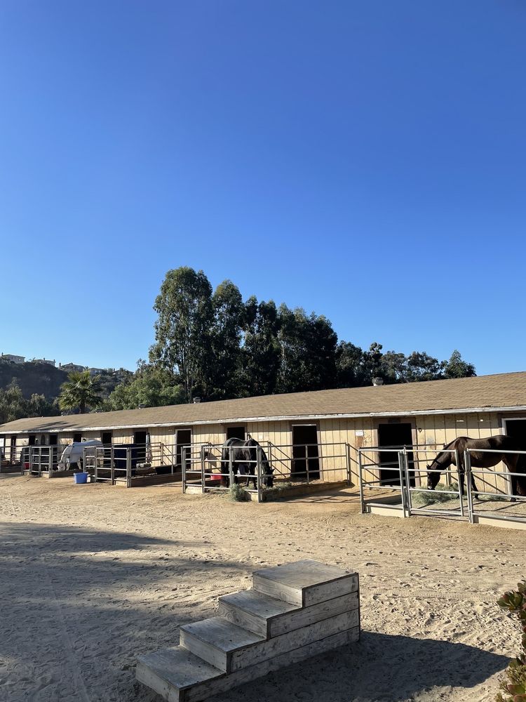 Rancho El Camino Equestrian - equestrian in San Diego, CA