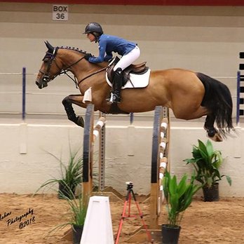 StoryBook Sport Horses - Horseback Riding Near Me - Argyle, Texas StoryBook Sport Horses - Horseback Riding Near Me - Argyle, Texas