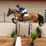 Photo of StoryBook Sport Horses