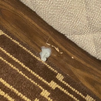 Hilton Jackson - Literally a glob of Vaseline under the bed. - Hotels Near Me - Jackson, Mississippi