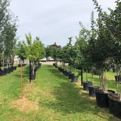 Tex-Scapes Nursery and Landscaping