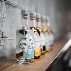 Cotton & Reed - Cotton & Reed Rums