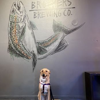 Booze Brothers Brewing - Breweries Near Me - Vista, California Booze Brothers Brewing - Breweries Near Me - Vista, California