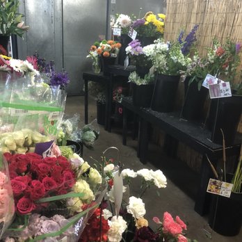Cactus Flower Florists - Cold room where flowers are kept nice and fresh! Great variety of lovely flowers. - Florists Near Me - Phoenix, Arizona Cactus Flower Florists - Cold room where flowers are kept nice and fresh! Great variety of lovely flowers. - Florists Near Me - Phoenix, Arizona