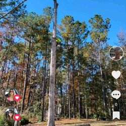 Higher Power Handy Man Service