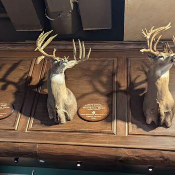 Bass Pro Shop - Guns & Ammo Near Me - Memphis, Tennessee Bass Pro Shop - Guns & Ammo Near Me - Memphis, Tennessee