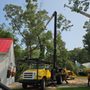 Photo of Andy's Tree Service