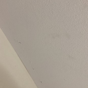 Quality Inn & Suites - This place is the worst, smells like smoke and urine. I guarantee you it has mold. - Hotels Near Me - Lawrenceburg, Indiana Quality Inn & Suites - This place is the worst, smells like smoke and urine. I guarantee you it has mold. - Hotels Near Me - Lawrenceburg, Indiana