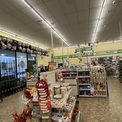Dollar Tree