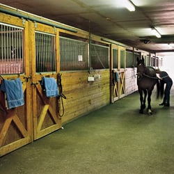 Top Line Equestrian Cnter - Main aisle in barn at TopLine