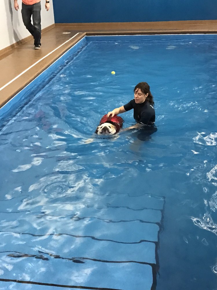 doggy paddle aquatic center