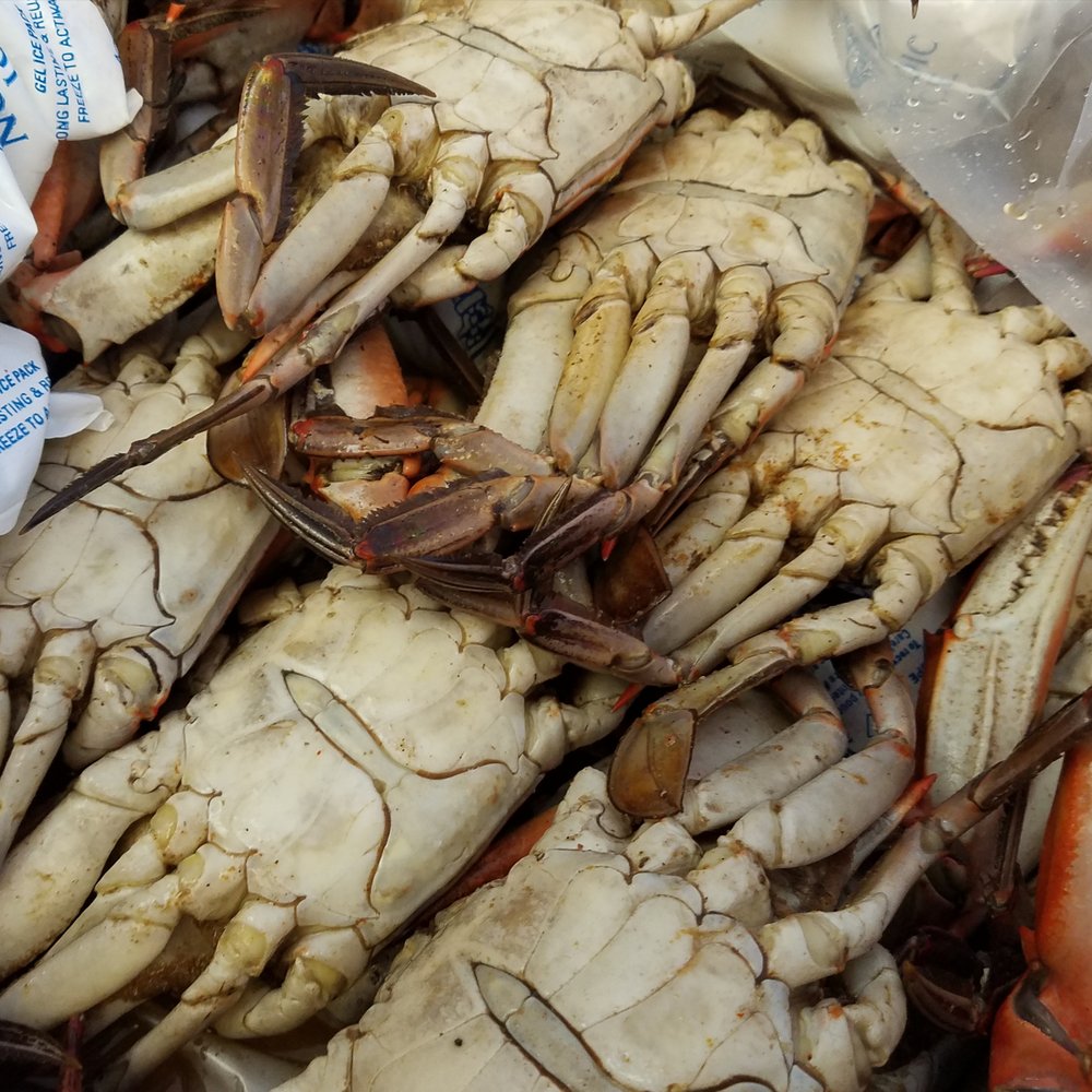 Today’s Ketch Seafood - What? Crabs? For me? Aww, Honey, you shouldn't have! - Seafood Markets Near Me - Chalmette, Louisiana Today’s Ketch Seafood - What? Crabs? For me? Aww, Honey, you shouldn't have! - Seafood Markets Near Me - Chalmette, Louisiana