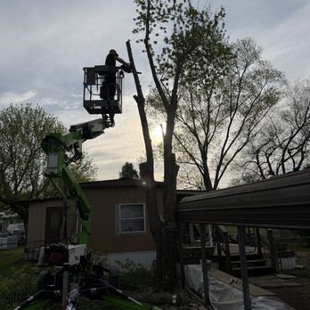 Jae’s Tree Service - Tree Services Near Me - Athens, Tennessee Jae’s Tree Service - Tree Services Near Me - Athens, Tennessee