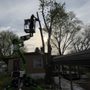 Photo of Jae’s Tree Service