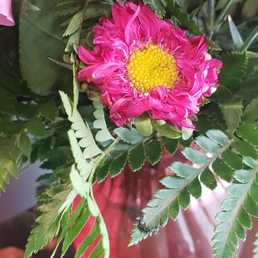 I don't think this is how the flower should look.