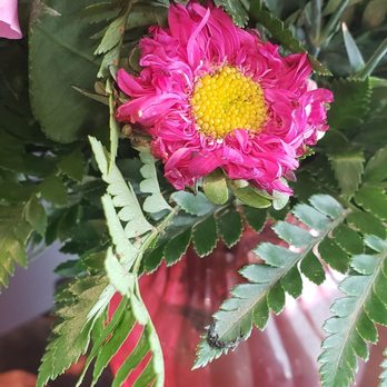 Flower Sensation - I don't think this is how the flower should look. - Florists Near Me - Chula Vista, California