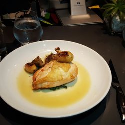 Otis - Roast Chicken