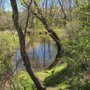 Photo of Hockanum River Hiking Trail