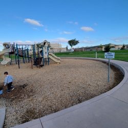 Westgate Park - Interesting puddle