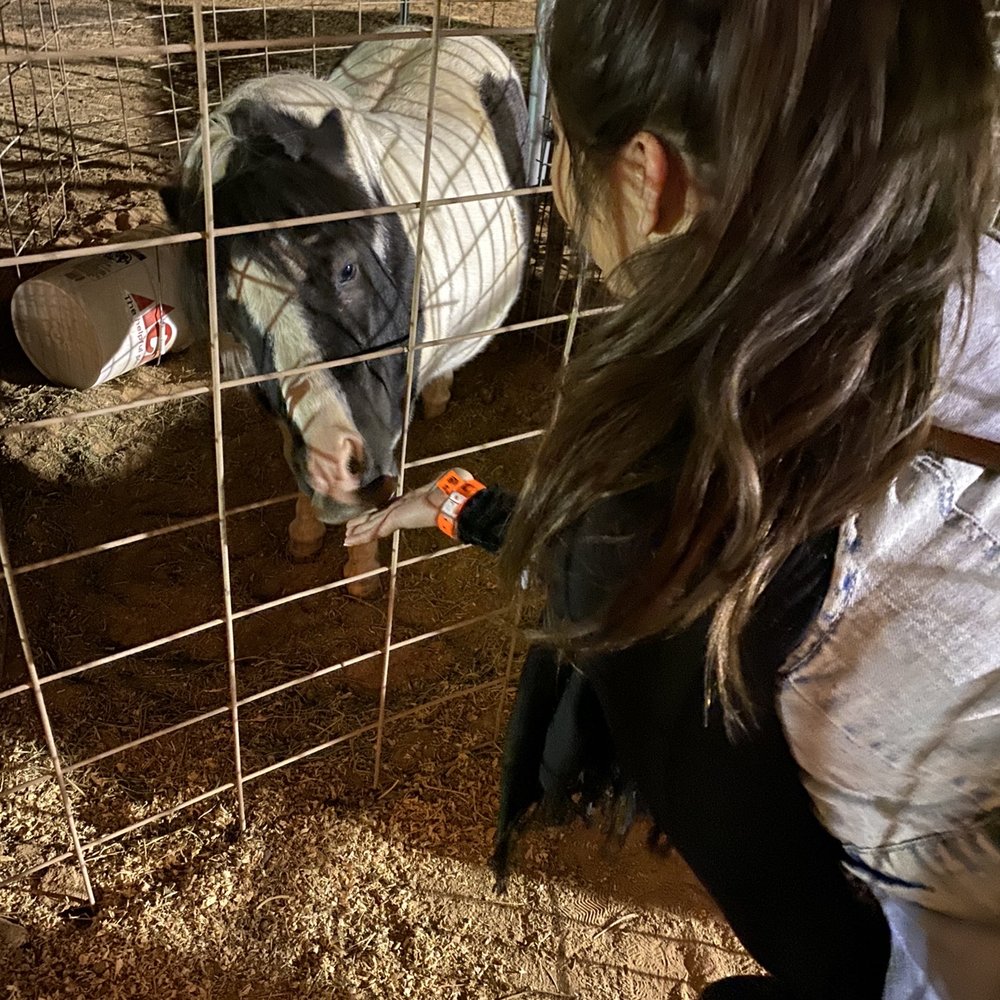Moapa Valley Cornmaze - Petting zoo - Attraction Farms Near Me - Logandale, Nevada Moapa Valley Cornmaze - Petting zoo - Attraction Farms Near Me - Logandale, Nevada
