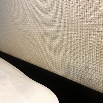 Blue Diamond Riviera Maya - Something growing on headboard. - Hotels Near Me - Quintana Roo, ROO Blue Diamond Riviera Maya - Something growing on headboard. - Hotels Near Me - Quintana Roo, ROO