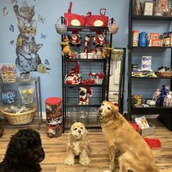 My 3 Pups Bakery and Gift Shop - Merchandise sold at the shop and the owner's adorable dogs.