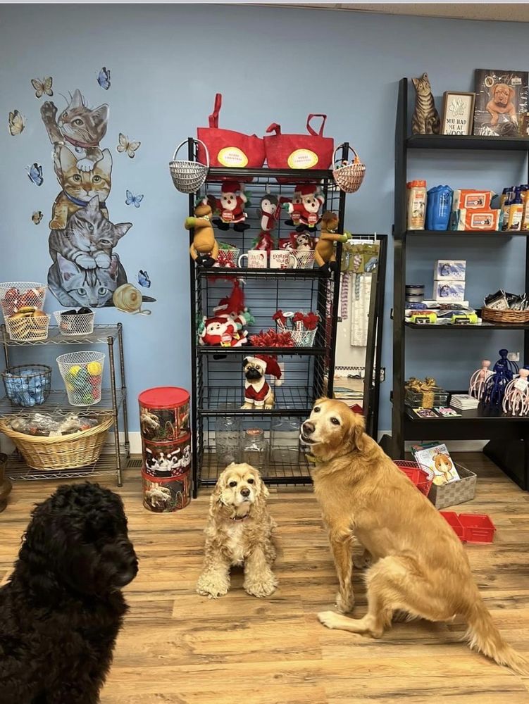 MY 3 PUPS BAKERY AND GIFT SHOP Updated August 2024 668 S Main St