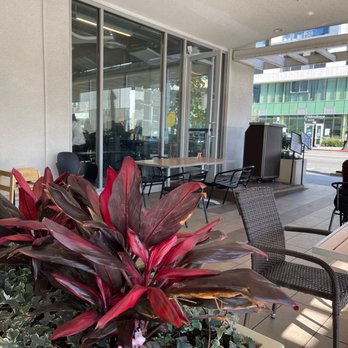 Bea Bea’s - Patio at Bea Bea's - Coffee & Tea Near Me - Glendale, California Bea Bea’s - Patio at Bea Bea's - Coffee & Tea Near Me - Glendale, California