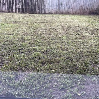 Total Land Care - After - Landscaping Near Me - Austin, Texas Total Land Care - After - Landscaping Near Me - Austin, Texas