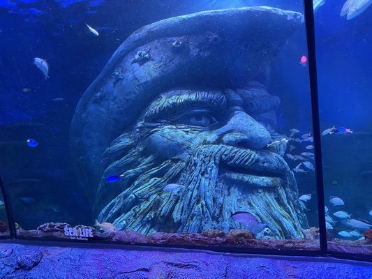 SEA LIFE San Antonio by null