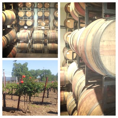 Silenus Winery by null