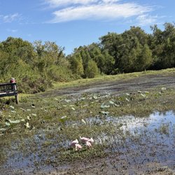 Cullinan Park