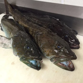 The Fish Peddler - Lingcod - Seafood Markets Near Me - Ukiah, California