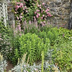 Bodnant Garden